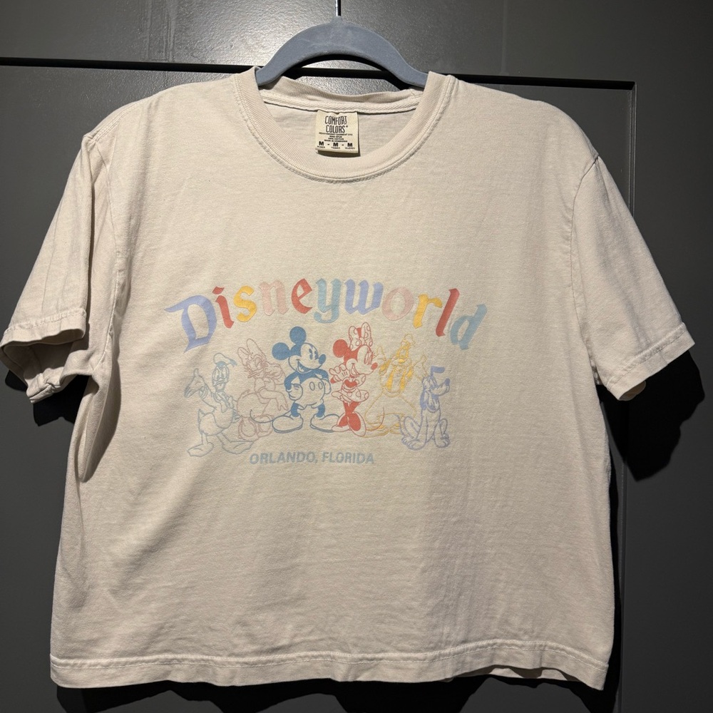 Disney world comfort colors shirt (boxy cut)